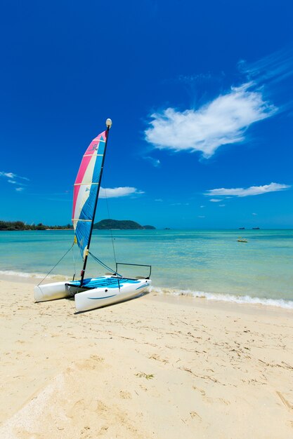 Spiaggia e mare tropicale