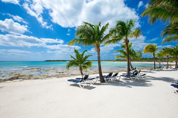 Spiaggia e mare tropicale