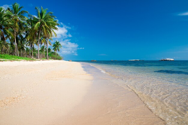 Spiaggia e mare tropicale