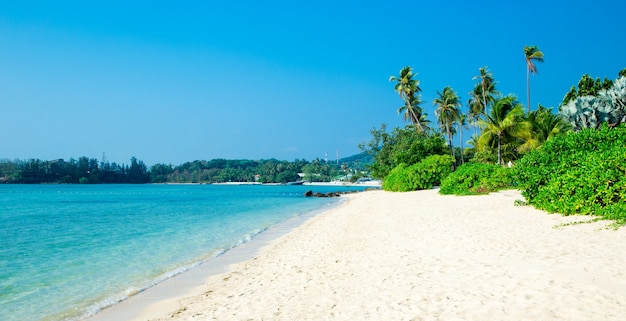 Spiaggia e mare tropicale