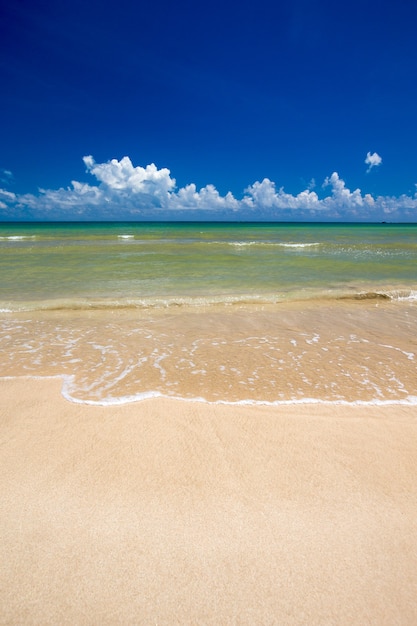 Spiaggia e mare tropicale