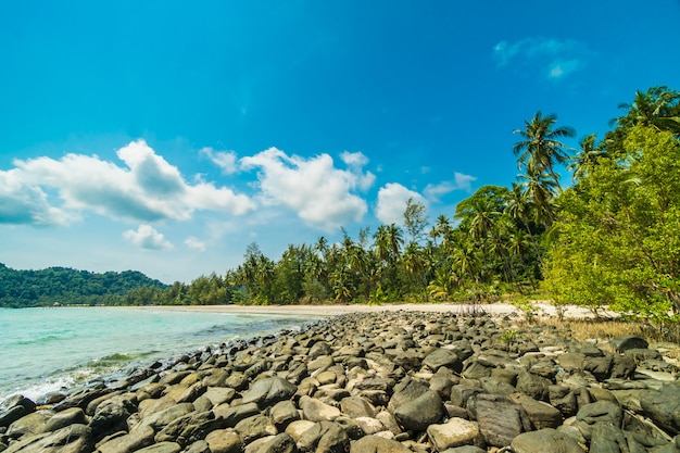 Spiaggia e mare tropicali della bella natura con l&#39;albero del cocco sull&#39;isola di paradiso