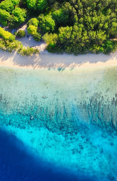 Spiaggia e oceano come sfondo dall'aria Sfondo dell'acqua azzurra dalla vista dall'alto Paesaggio marino estivo dal drone Isola di Gili Meno Indonesia Immagine di viaggio