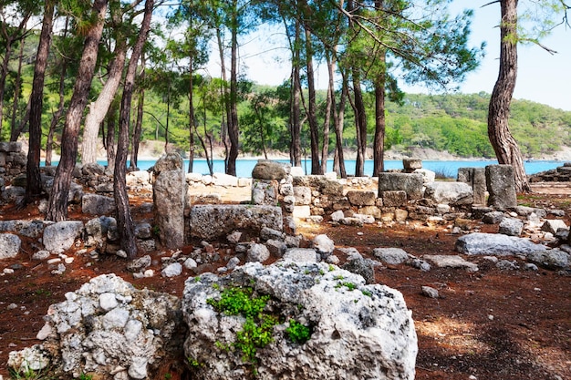 Spiaggia e rovine a Phaselis Turchia