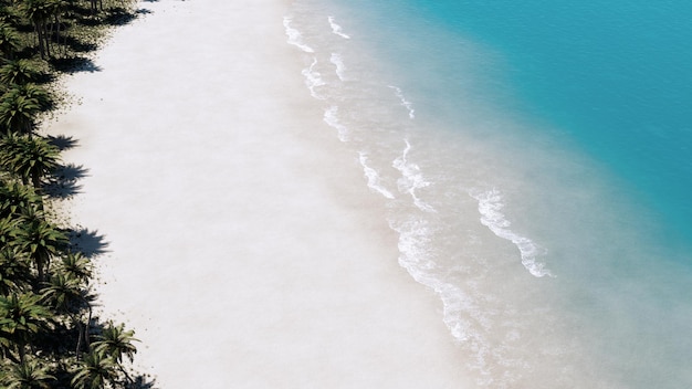 Spiaggia estiva con oceano tropicale di colore ciano e sabbia bianca e palma