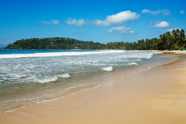 Spiaggia idilliaca Sri Lanka