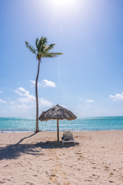 Spiaggia in una giornata di sole nei Caraibi con palme