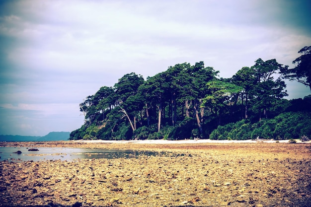 Spiaggia Isola Havelock Isole Andamane India