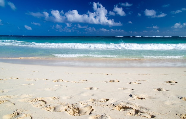 Spiaggia limpida caraibica e mare tropicale
