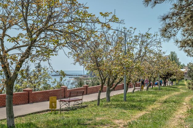 Spiaggia o parco Primorsky a Chernomorsk Ucraina