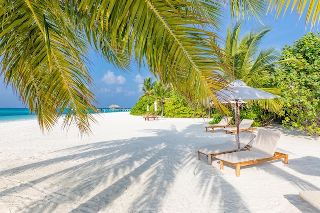 Spiaggia paradisiaca delle Maldive. Isola tropicale perfetta. Bellissime palme e spiaggia tropicale del resort