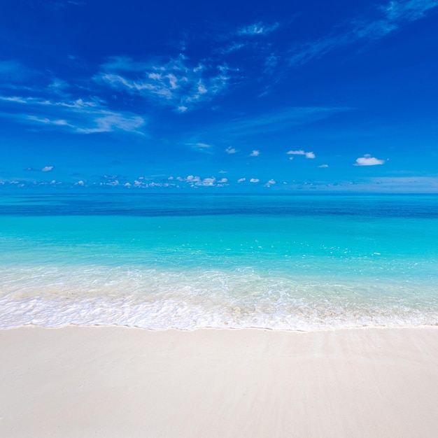 Spiaggia paradisiaca tropicale con sabbia bianca e acqua di mare blu turismo turismo ampio sfondo panorama