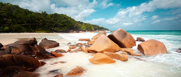 spiaggia paradisiaca tropicale soleggiata con sabbia bianca alle Seychelles isola di Praslin stile tailandese con palme