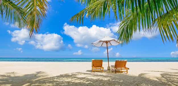 Spiaggia paradiso tropicale. Paradiso mare sabbia cielo palme da cocco viaggi turismo ampio panorama sullo sfondo