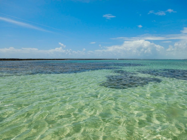 Spiaggia Piscine naturali a Maragogi Alagoas Brasile