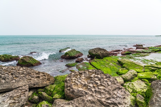 Spiaggia rocciosa con massi