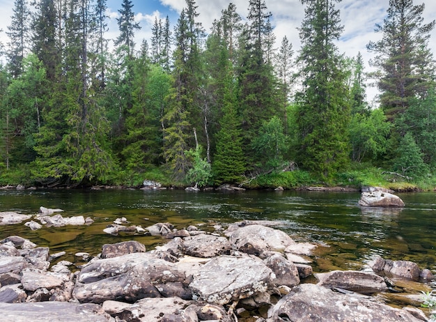 Spiaggia rocciosa e verde abete rosso sul fiume Ljungan, Jamtland County, Svezia