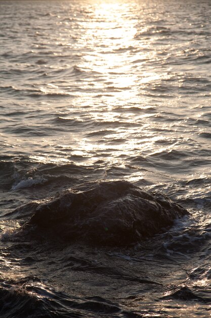 Spiaggia rocciosa