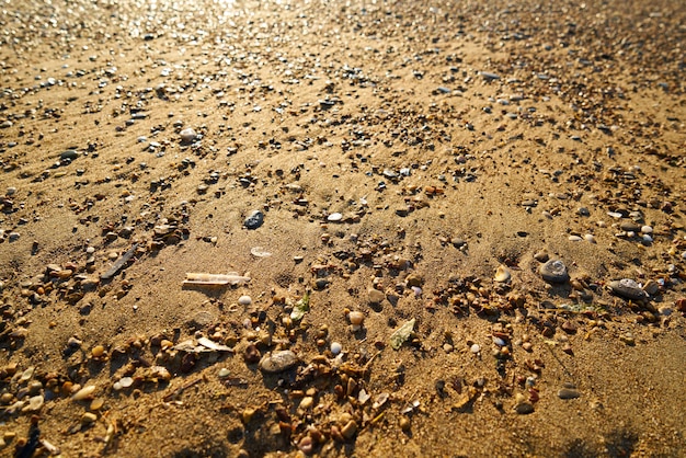 Spiaggia sabbia trama e sfondo