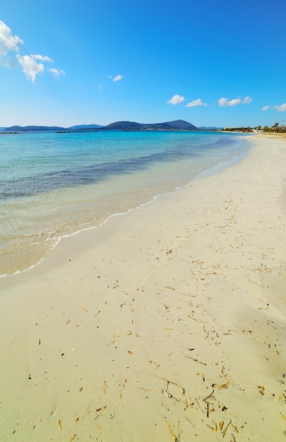 Spiaggia sabbiosa ad Alghero Sardegna