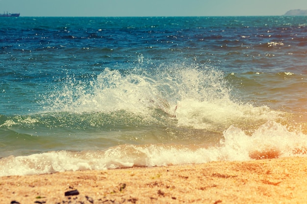 Spiaggia sabbiosa con sabbia gialla e mare