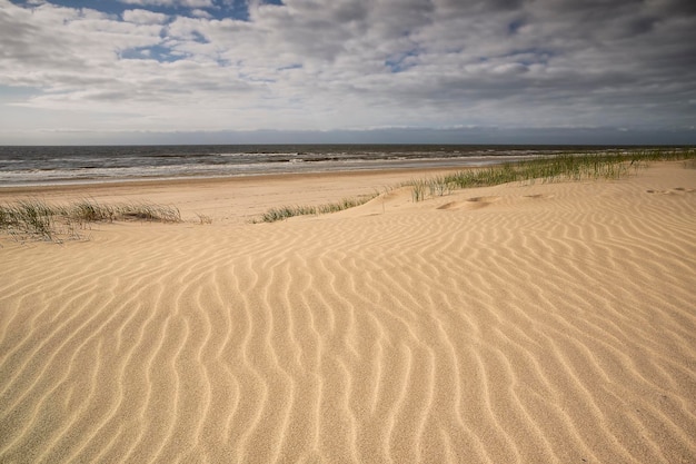 spiaggia sabbiosa del Mare del Nord