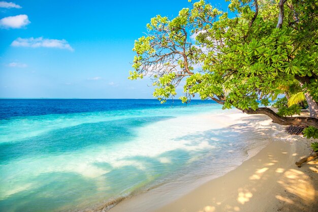 Spiaggia sabbiosa delle Maldive in una giornata di sole