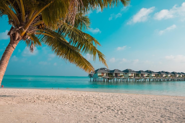 Spiaggia sabbiosa delle Maldive