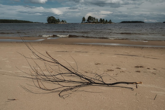 Spiaggia sabbiosa settentrionale Russia Lago di Carelia Ladoga Kojonsaari