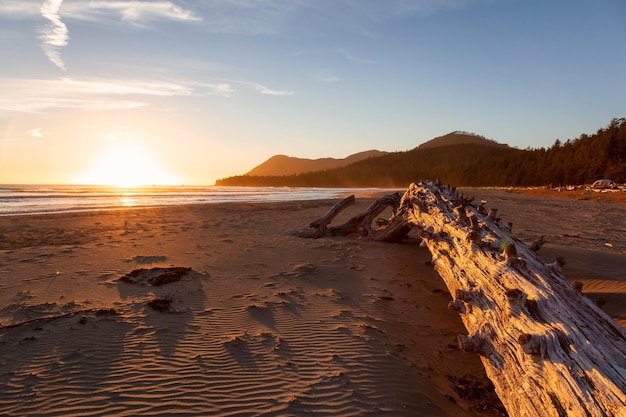 Spiaggia sabbiosa sulla costa dell'Oceano Pacifico durante un vivace tramonto estivo