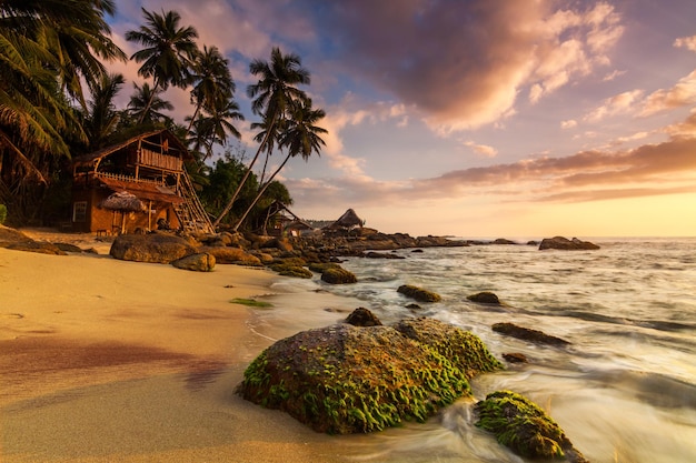 Spiaggia sabbiosa tropicale all'alba Sri Lanka