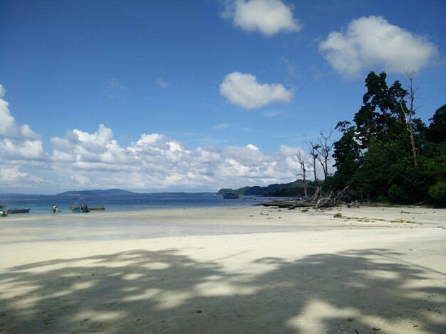 Spiaggia Scenic