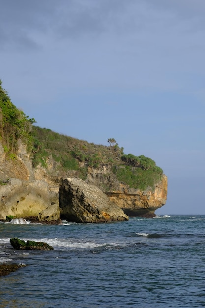 spiaggia scoscesa. pareti rocciose costiere di calcare. arbusti verdi sulla scogliera. onde oceaniche. grande ondulato.