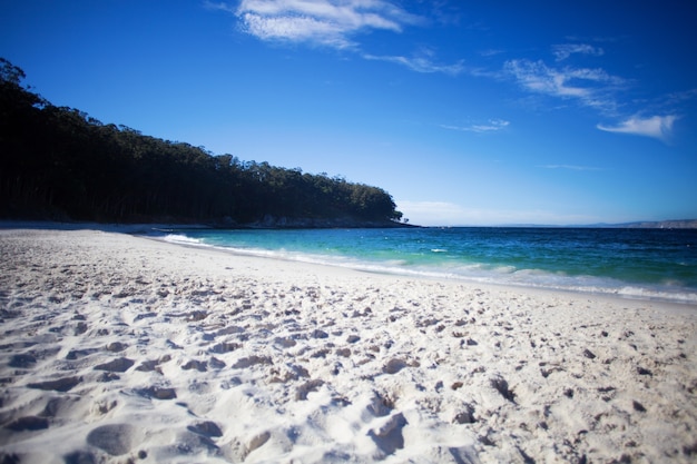 spiaggia selvaggia in estate