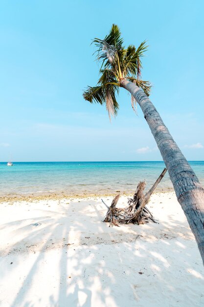 Spiaggia su un'isola tropicale nel pomeriggio