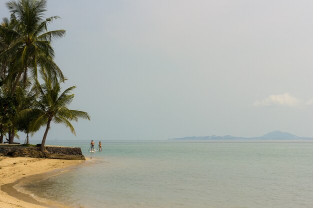 Spiaggia tranquilla a Koh Phangan con palme e giovane coppia sul paddle board in background e l'isola di Koh Samui, in Thailandia