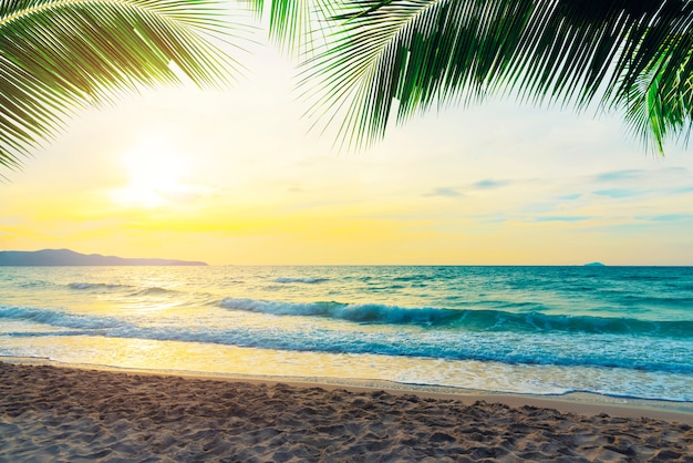 Spiaggia tropicale al tramonto con rami di cocco nel cielo.