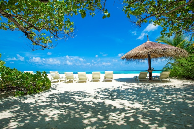 Spiaggia tropicale alle Maldive con poche palme e laguna blu