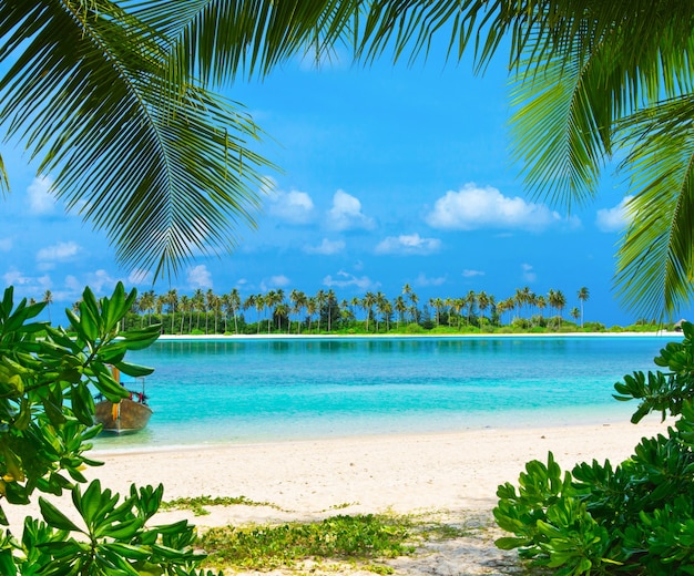 Spiaggia tropicale alle Maldive con poche palme e laguna blu