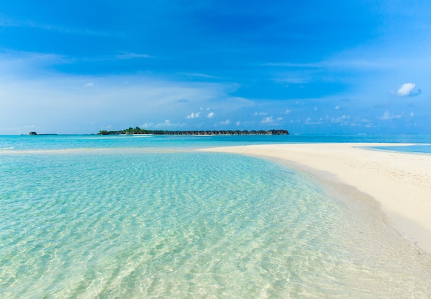 Spiaggia tropicale alle Maldive con poche palme e laguna blu