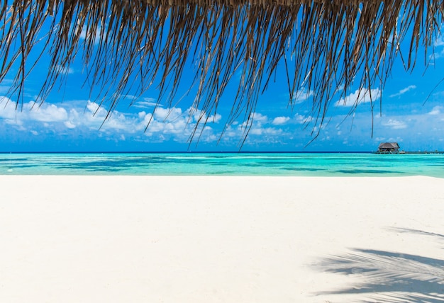 Spiaggia tropicale alle Maldive con poche palme e laguna blu