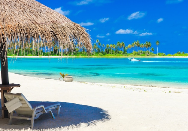 Spiaggia tropicale alle Maldive con poche palme e laguna blu