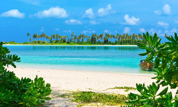 Spiaggia tropicale alle Maldive con poche palme e laguna blu