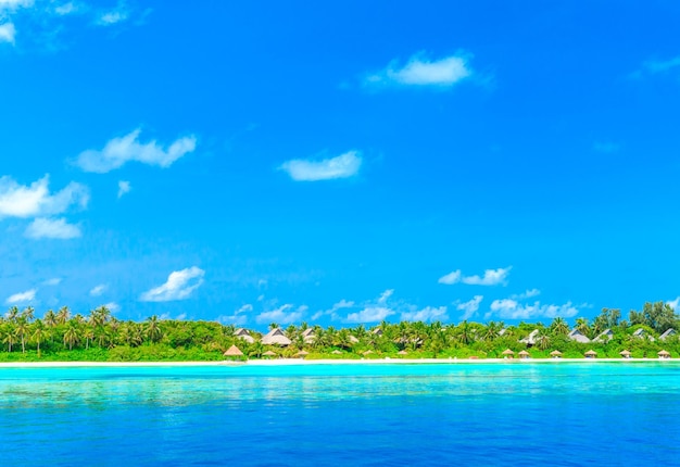 Spiaggia tropicale alle Maldive con poche palme e laguna blu