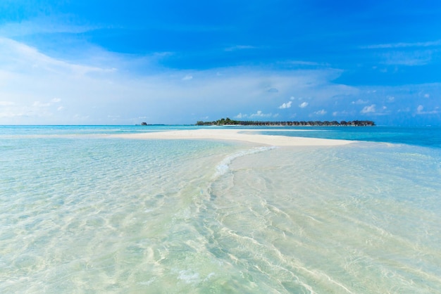 Spiaggia tropicale alle Maldive con poche palme e laguna blu