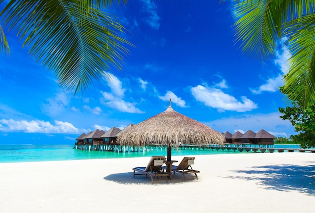 Spiaggia tropicale alle Maldive con poche palme e laguna blu