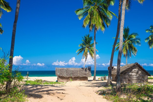 Spiaggia tropicale alle Maldive con poche palme e laguna blu