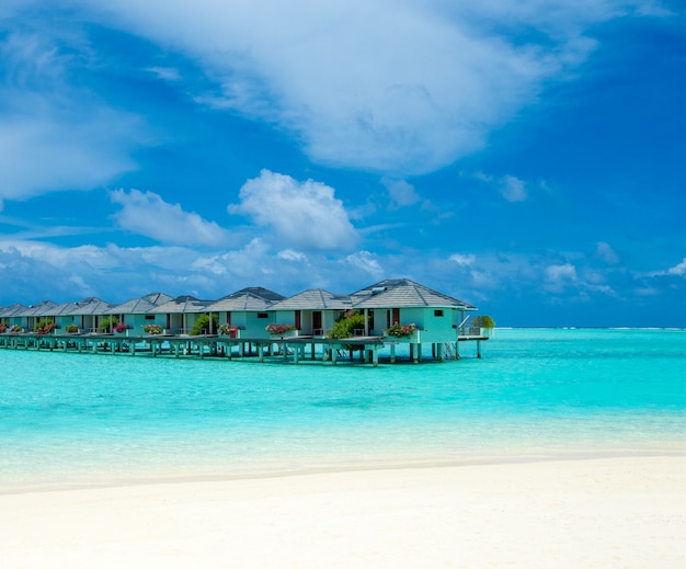 Spiaggia tropicale alle Maldive con poche palme e laguna blu