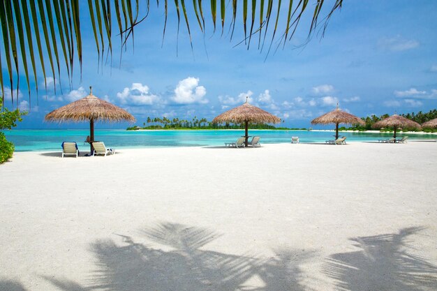 spiaggia tropicale alle Maldive con poche palme e laguna blu