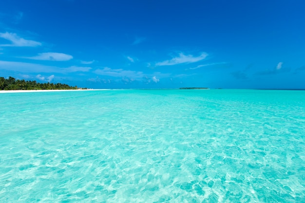 Spiaggia tropicale alle Maldive con poche palme e laguna blu